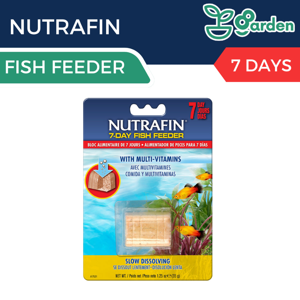 Nutrafin 3-days (25g)/ 7-Days (35g) Treasure Chest Fish Feeder Holiday Food