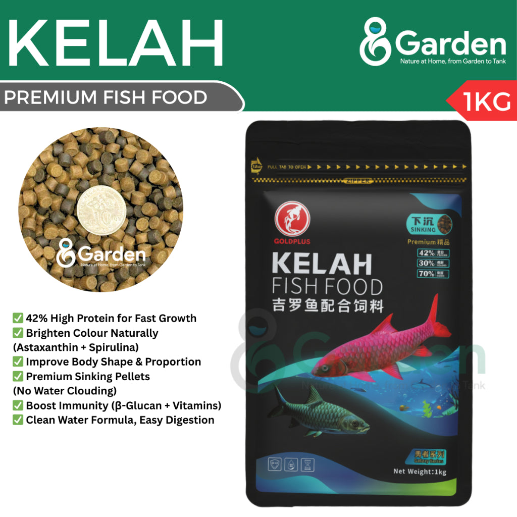 GoldPlus Galaxy Series Kelah Premium Fish Food 1kg – Sinking Pellets | 42% Protein | Colour Enhancer | Growth Formula