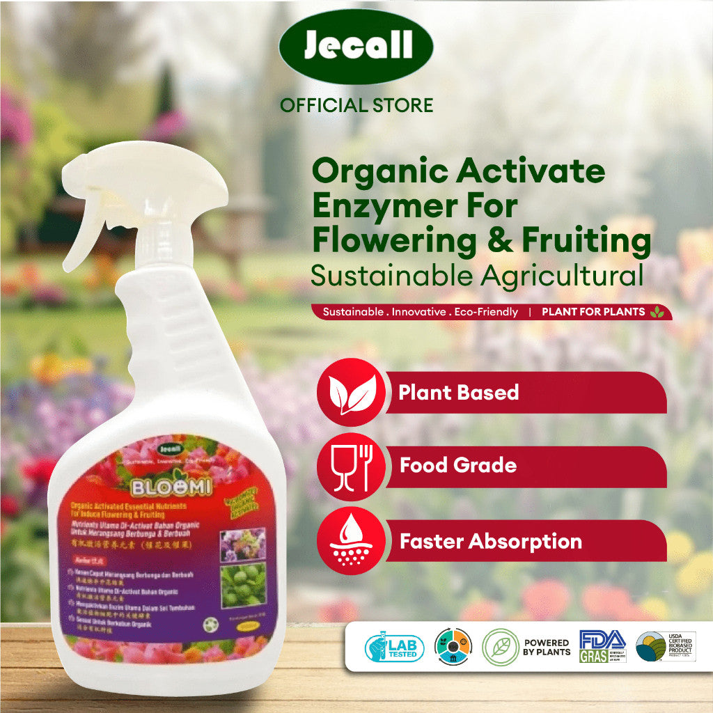 Jecall-Bio Bloomi 1Liter Spray / Organic Activated Flowering & Fruiting Inducer Foliar Fertilizer Baja Buah Baja Bunga
