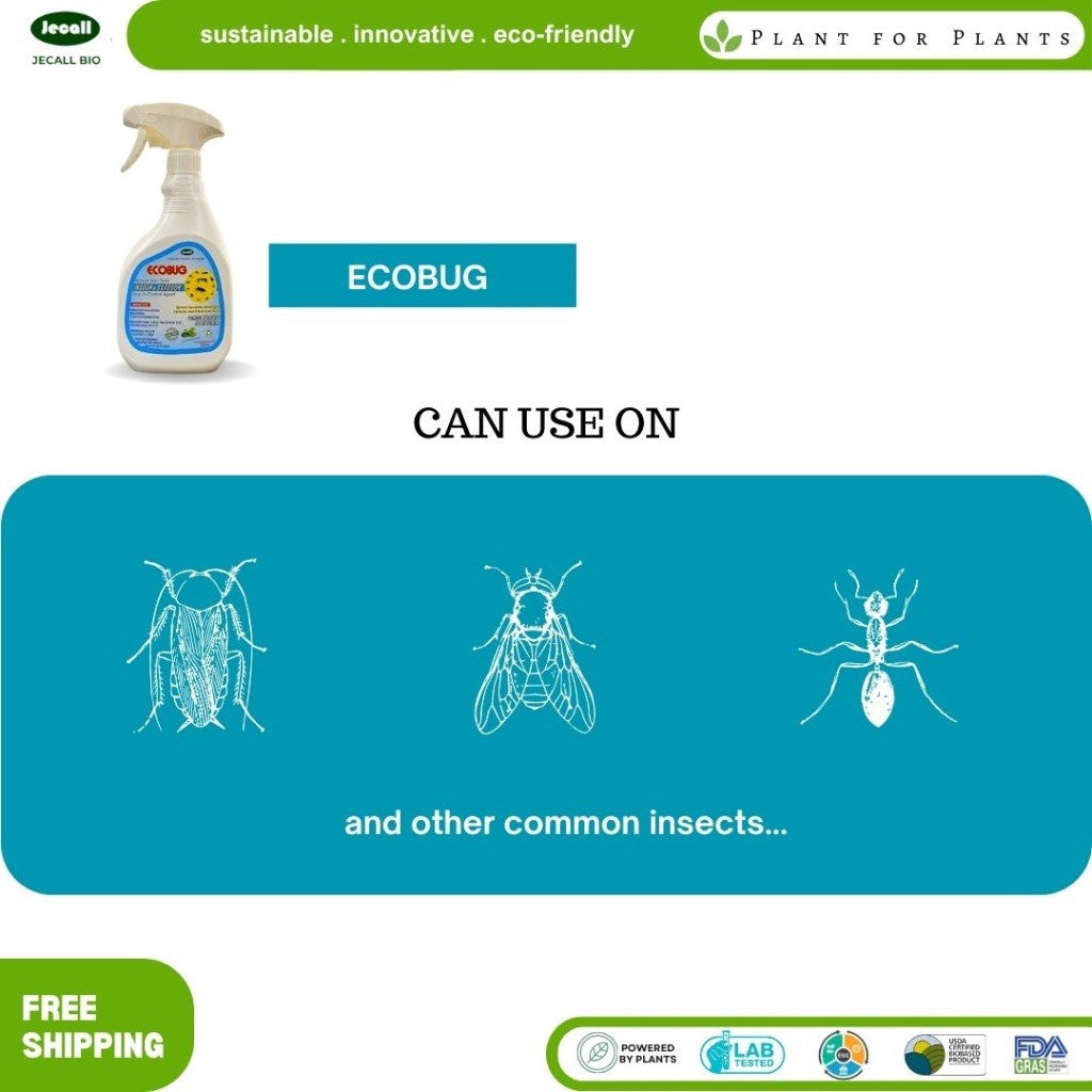 Jecall-Bio Ecobug Spray 500ml – Penghalau Lipas Organik, Natural Insect Repellent, Cockroach Fleas