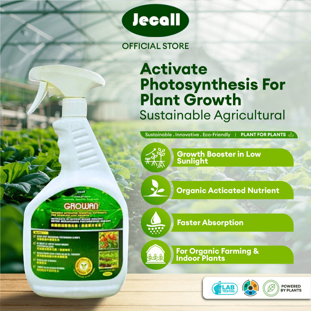 Jecall-Bio Bloomi 1Liter Spray / Organic Activated Flowering & Fruiting Inducer Foliar Fertilizer Baja Buah Baja Bunga