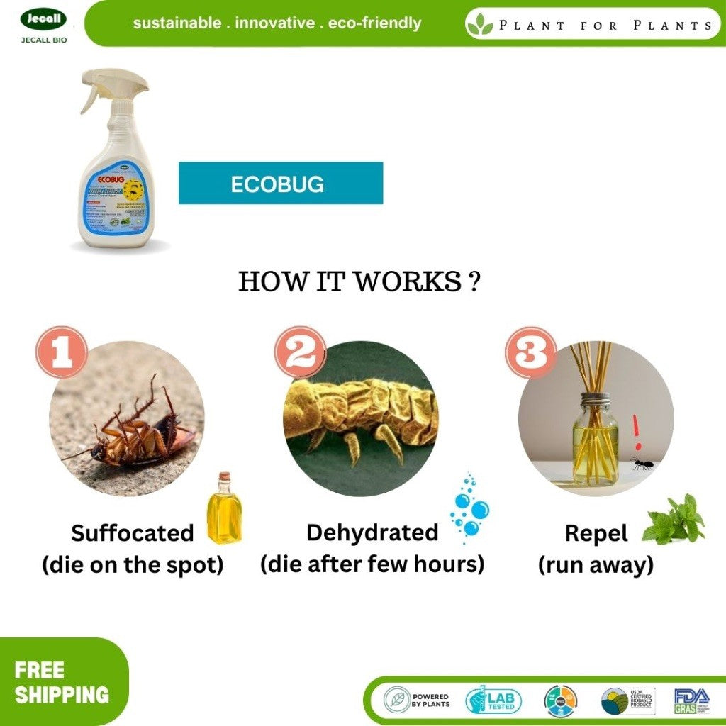 Jecall-Bio Ecobug Spray 500ml – Penghalau Lipas Organik, Natural Insect Repellent, Cockroach Fleas