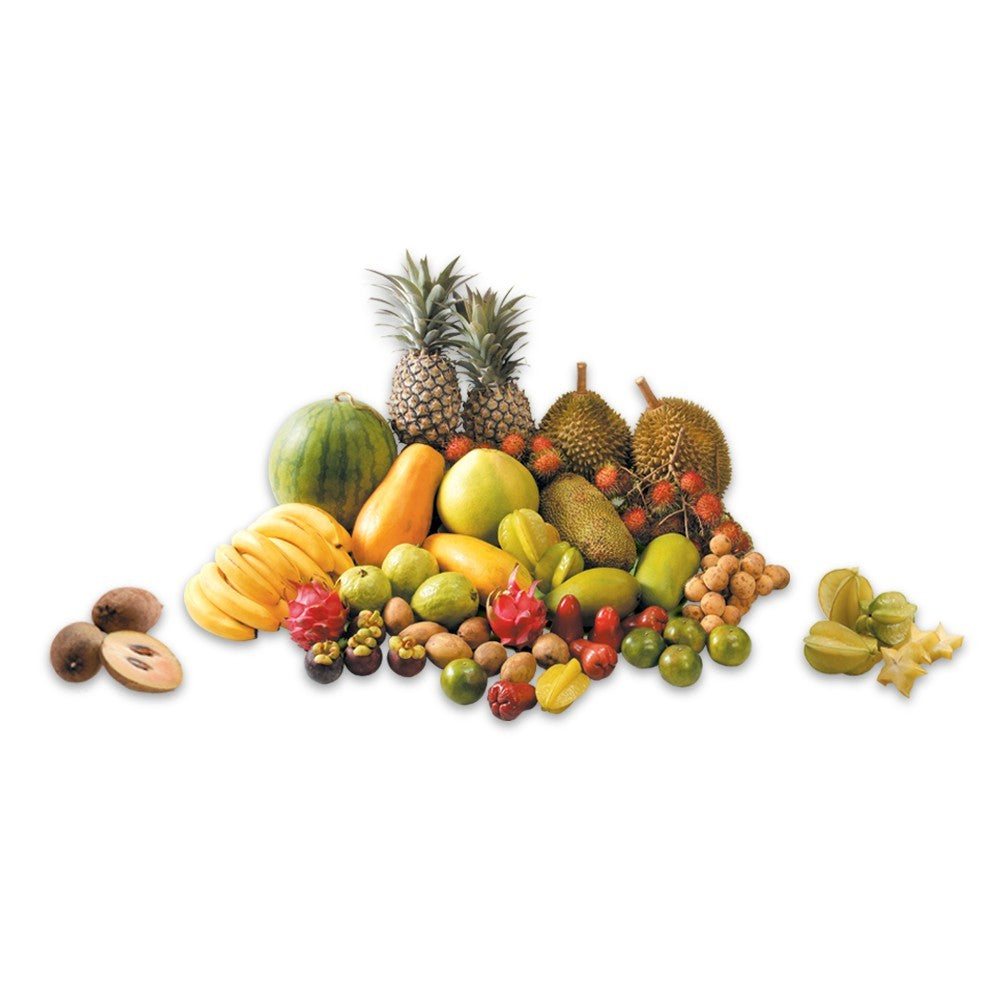 Jecall-Bio Calbor Plus 1L – Baja Foliar Kalsium & Boron, Untuk Daun, Bunga, Buah & Sayur, Foliar Fertilizer