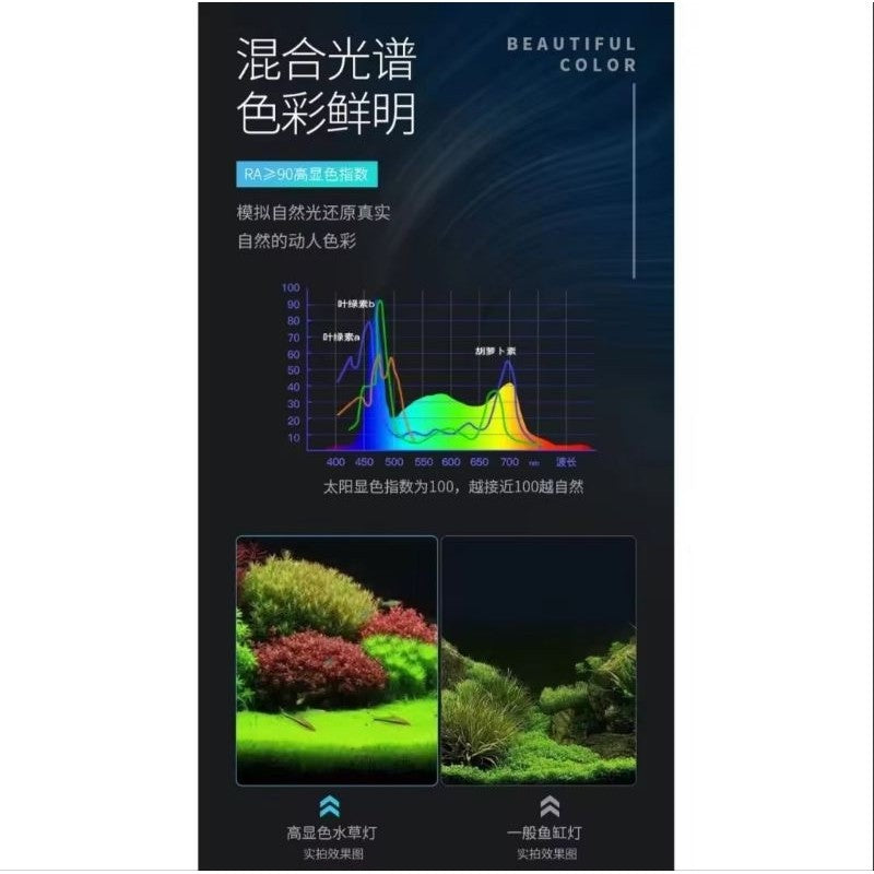 T4 Double Row Crystal White Arowana LED Aquarium Light – Waterproof (78cm / 118cm / 148cm)