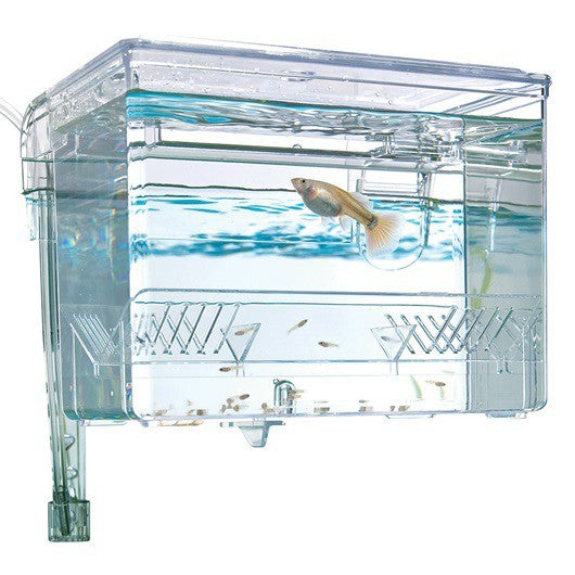 Fluval Breeding Box 1.1L – Hang-On Fish Hatchery for Fry, Isolation & Quarantine