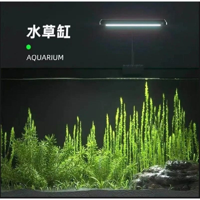GEBO Aquarium Clip Lamp – 8W / 13W LED Light for Fish Tanks (Easy Clip-On Design)