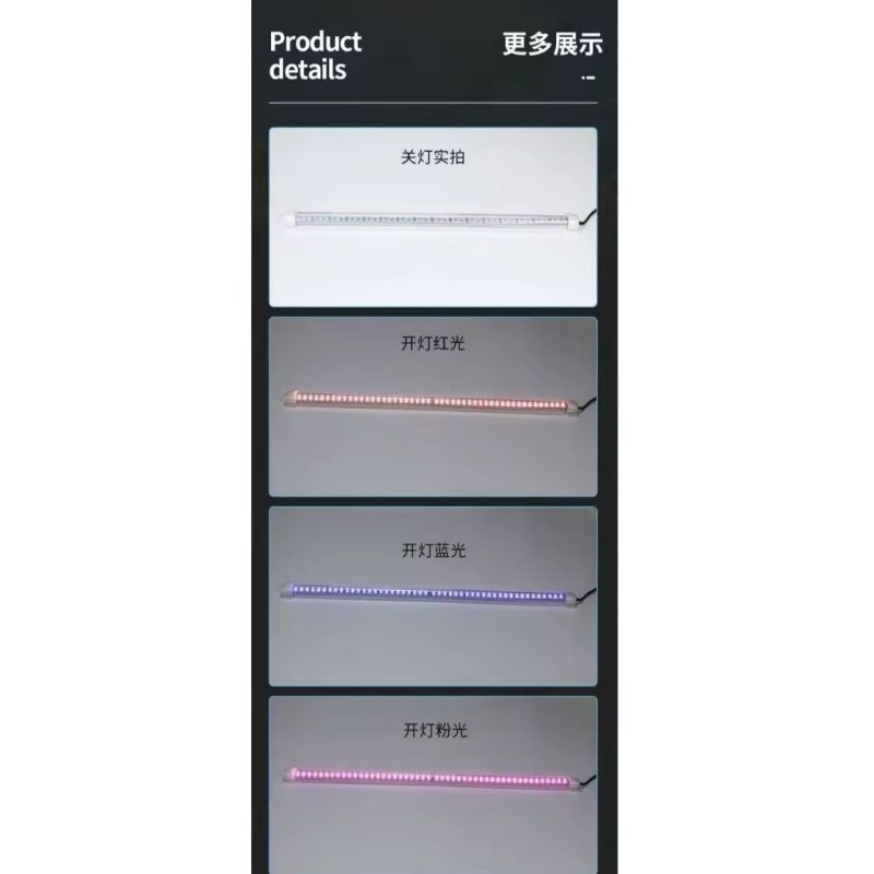 T4 Double Row Crystal White Arowana LED Aquarium Light – Waterproof (78cm / 118cm / 148cm)