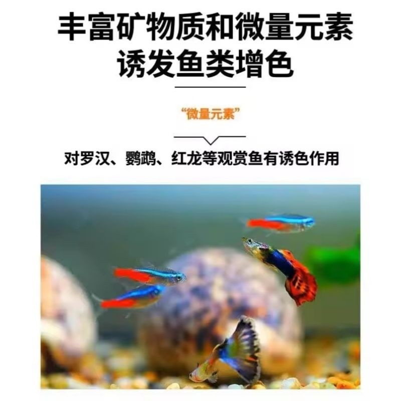 Ceramic Bio Ring (Flower Shape) 1kg with Zip Net - Aquarium Fish Tank Filter Media Batu Penapis Akuarium