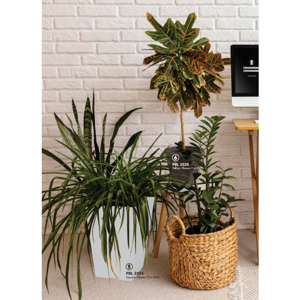 Felton Square Pot FBL 2453/2454/2455 Pasu Bunga Plastik | Modern Plant Pot for Indoor Outdoor Garden Use Flower Pot