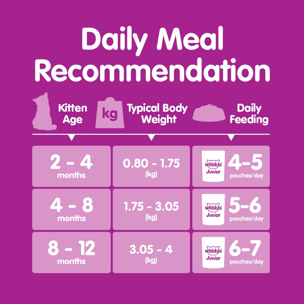 WHISKAS Makanan Kucing Basah Dalam Pek 80G