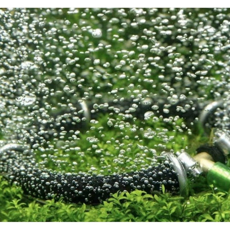 Stainless Steel Nano Aeration Tube / Air Ring / Oxygen Plate - For Aquarium, Koi Pond, Seafood Tank Aeration