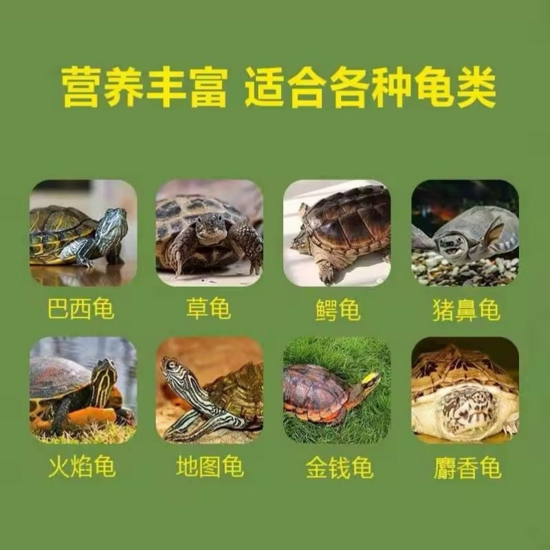 DL Turtle Floating Food Pellet 45g / 100g / 210g / 360g / 800g - Extra Nutrition ( Vitamin A, B, C, D and E)