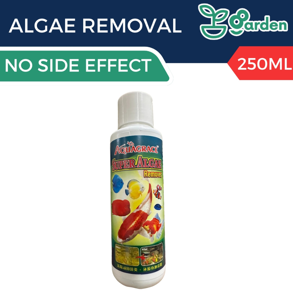 AquaGrace Super Algae Remover Concentrate 250ml - Effective Solution for Clear Aquariums & Ponds