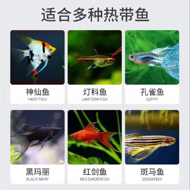 DL Premium Flake - (200ml) - Fish Food, Makanan Ikan, 鱼饲料 (Balance nutrition, beautiful body shape, enhance immunity)