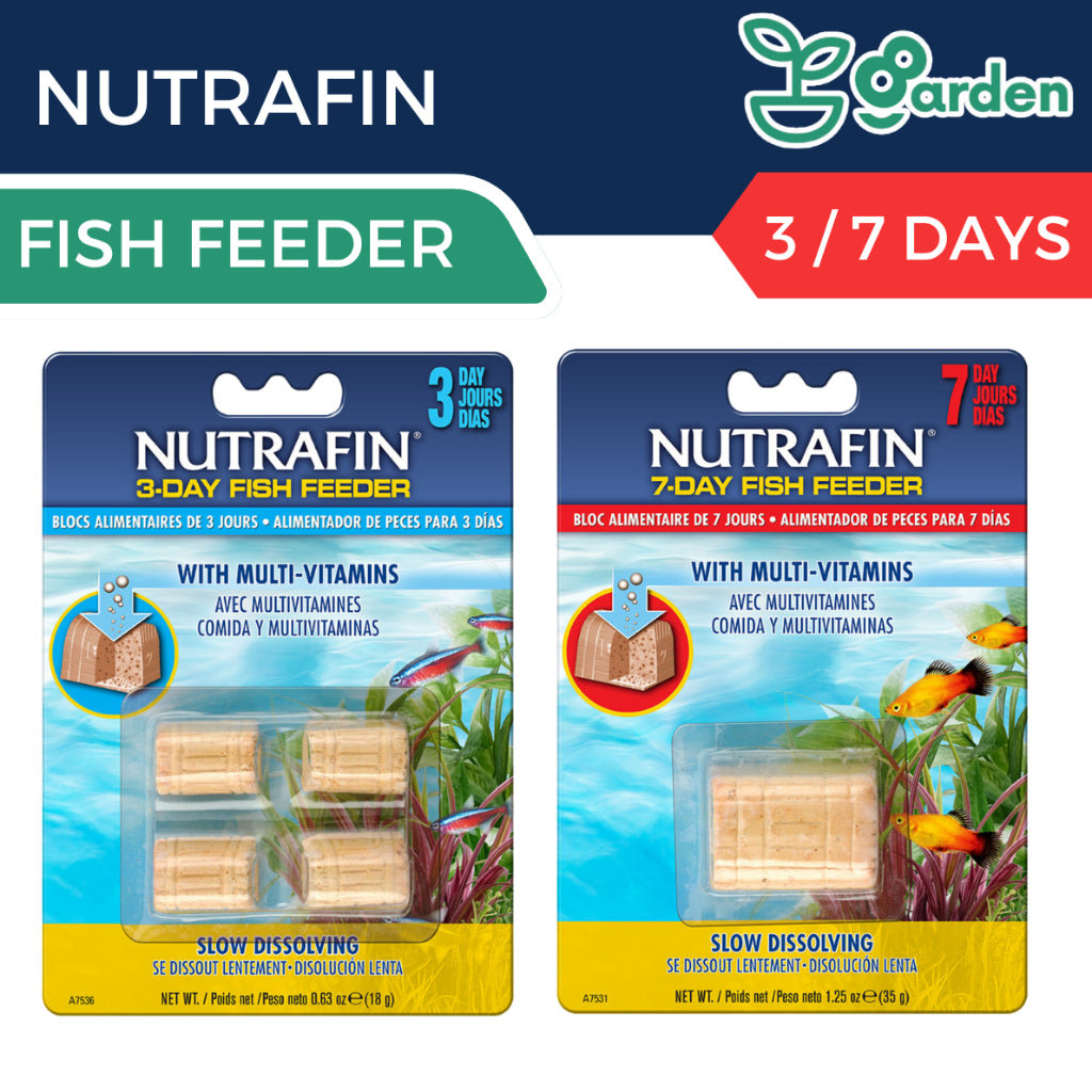 Nutrafin 3-days (25g)/ 7-Days (35g) Treasure Chest Fish Feeder Holiday Food