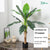 36CM-125CM Artificial Plant Artificial Tree Artificial Leaves Artificial Potted Indoor Plant Decoration Pokok Hiasan
