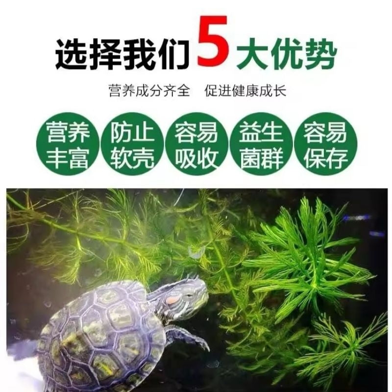 DL Turtle Floating Food Pellet 45g / 100g / 210g / 360g / 800g - Extra Nutrition ( Vitamin A, B, C, D and E)