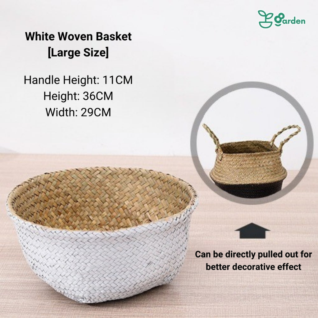 36CM-125CM Artificial Plant Artificial Tree Artificial Leaves Artificial Potted Indoor Plant Decoration Pokok Hiasan