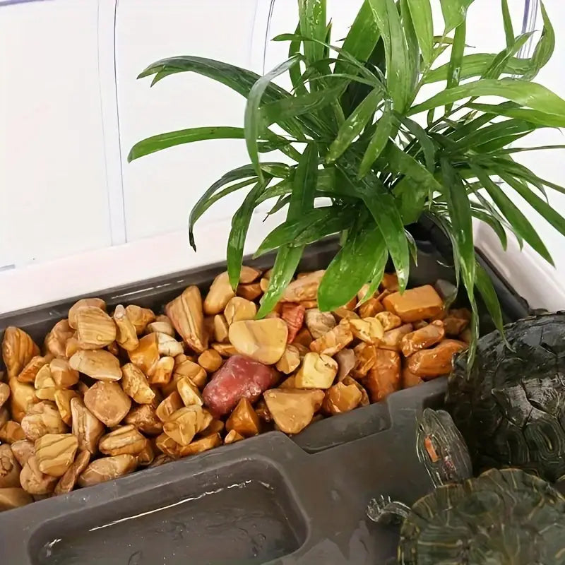 [1KG] Batu Hiasan 2cm – Natural Polished Wooden Grain Stones for Landscaping & Aquarium