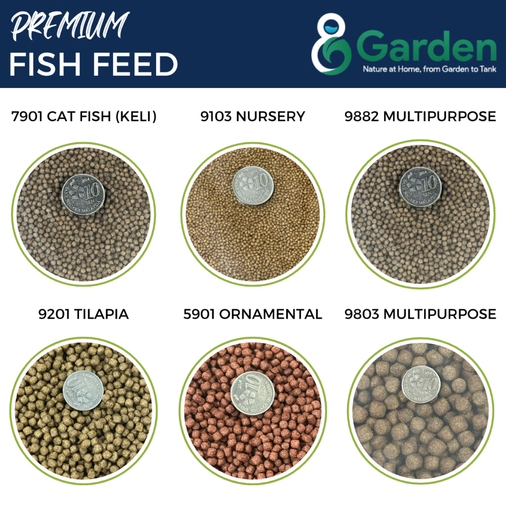 1KG Premium Dindings Makanan Ikan Aquarium Kolam Guppy Betta Koi Talapia Puyu Kelah Catfish Fish Food Pallet Dedak 鱼料