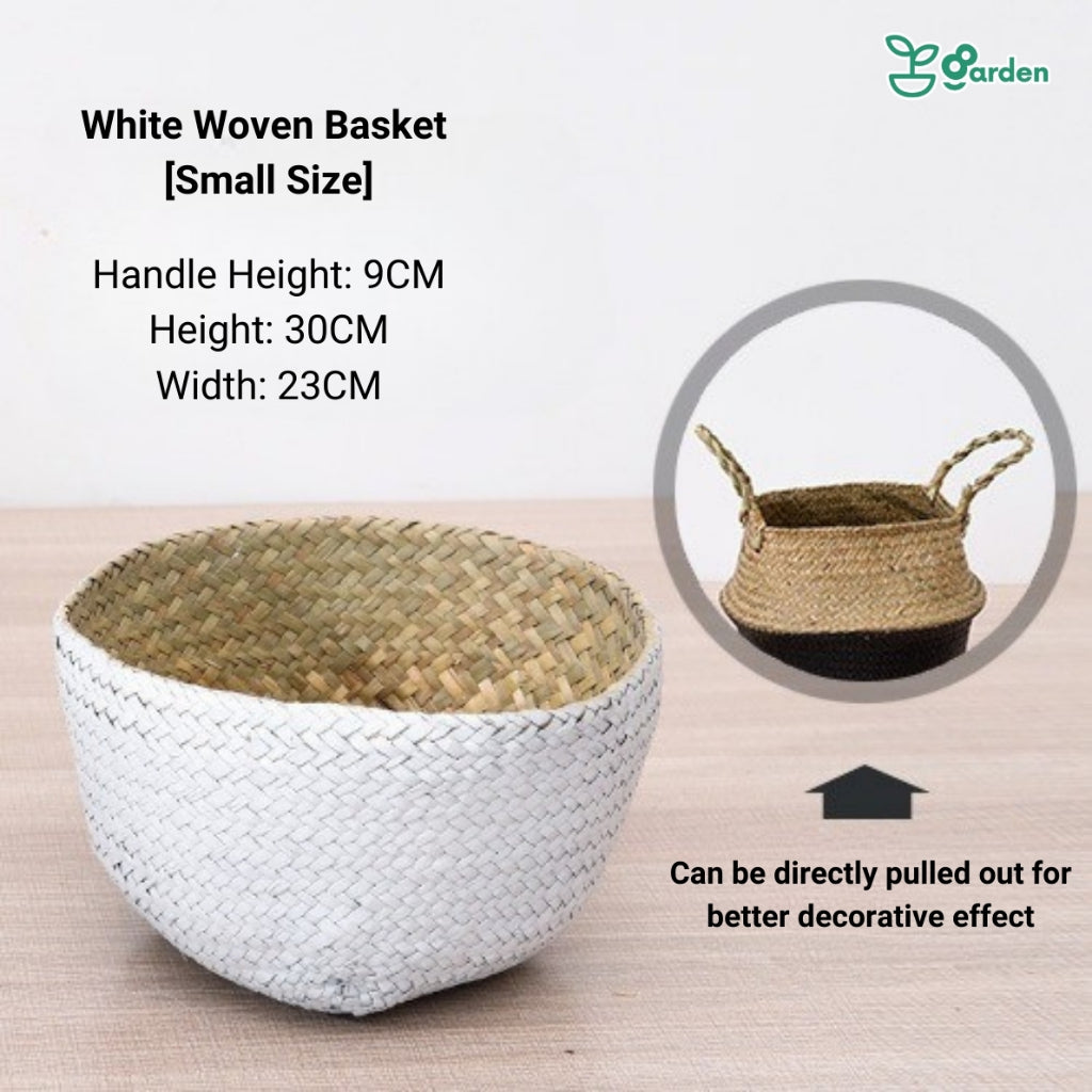 36CM-125CM Artificial Plant Artificial Tree Artificial Leaves Artificial Potted Indoor Plant Decoration Pokok Hiasan