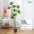 36CM-125CM Artificial Plant Artificial Tree Artificial Leaves Artificial Potted Indoor Plant Decoration Pokok Hiasan