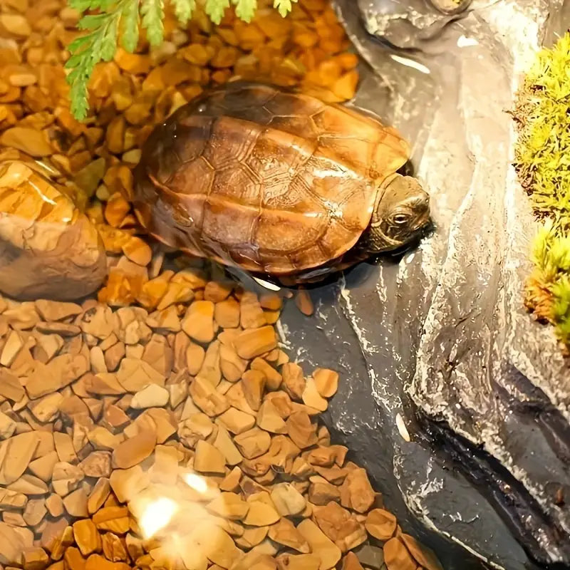 [1KG] Batu Hiasan 2cm – Natural Polished Wooden Grain Stones for Landscaping & Aquarium