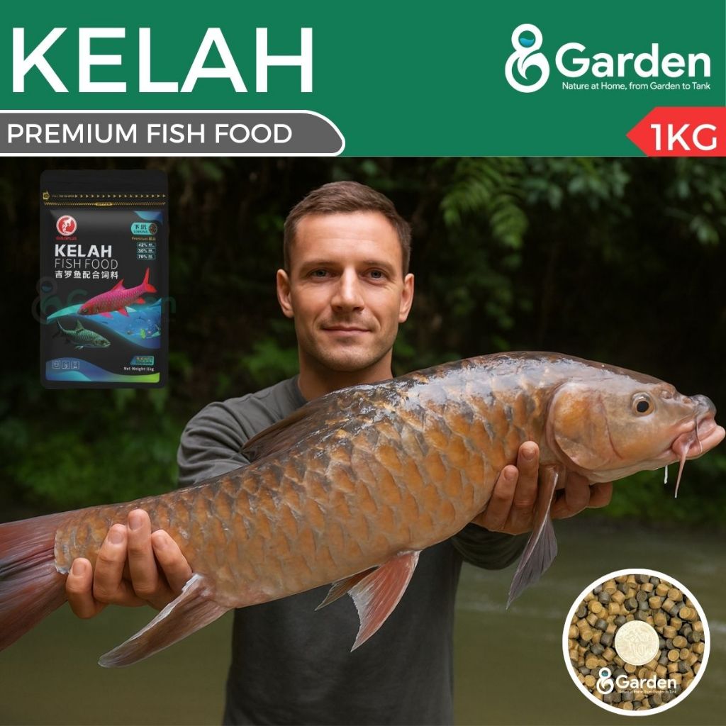 GoldPlus Galaxy Series Kelah Premium Fish Food 1kg – Sinking Pellets | 42% Protein | Colour Enhancer | Growth Formula