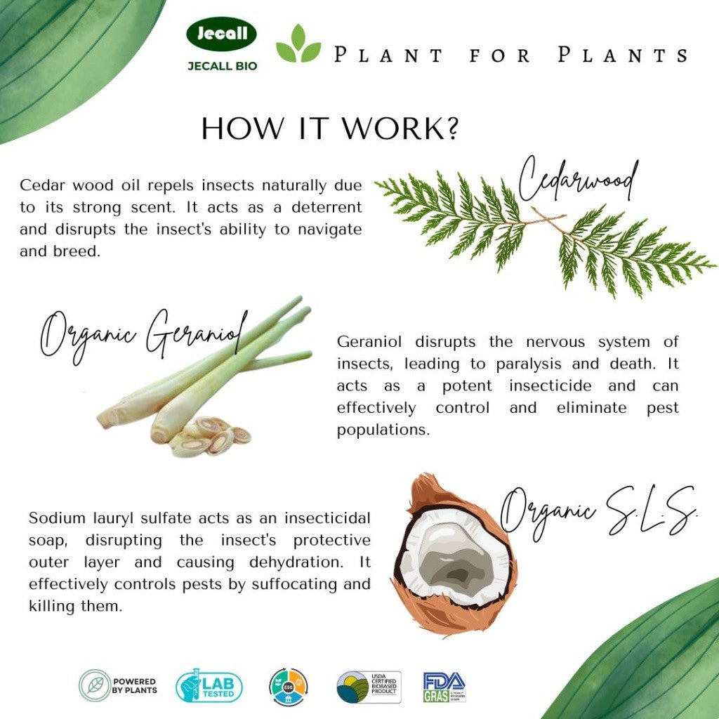 Jecall-Bio Debug F22 1L – Spray Racun Serangga Organik, Natural Insect Repellent for Indoor Plants