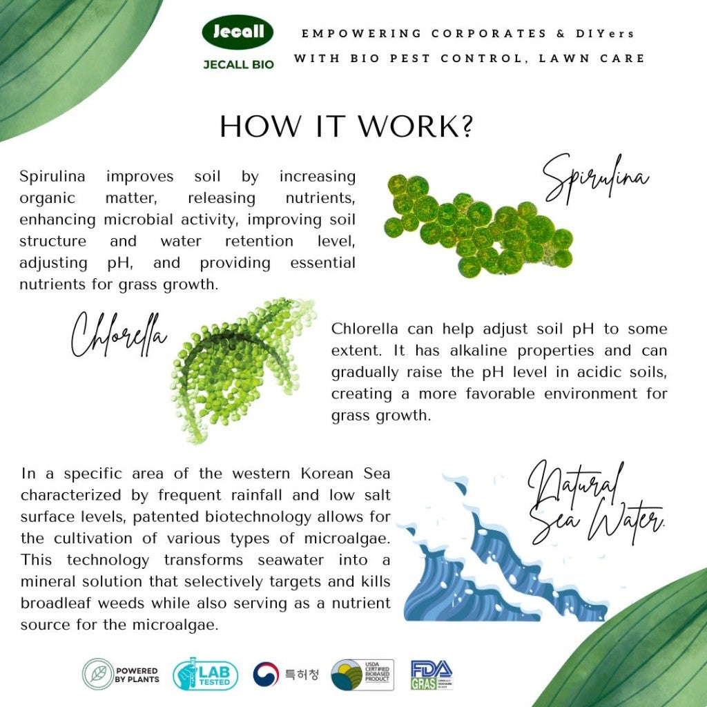 Jecall-Bio Pullcops 4L – Racun Rumpai Tidak Toksik, Weed Killer for Lawn, Carpet & Bermuda Grass Remover