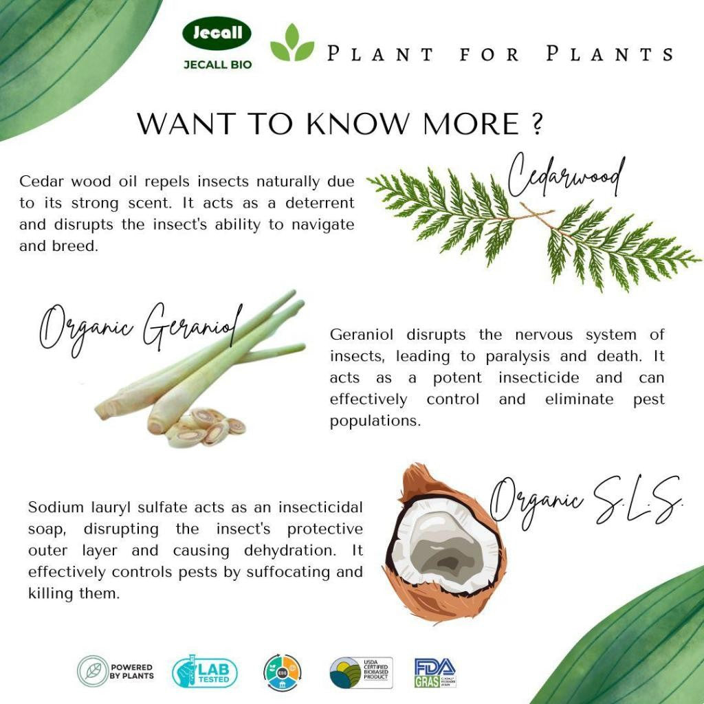 Jecall-Bio Bed Bug Fighter Spray 500ml – Ubat Pepijat & Hama, Natural Pest Control, Bed Bug Killer