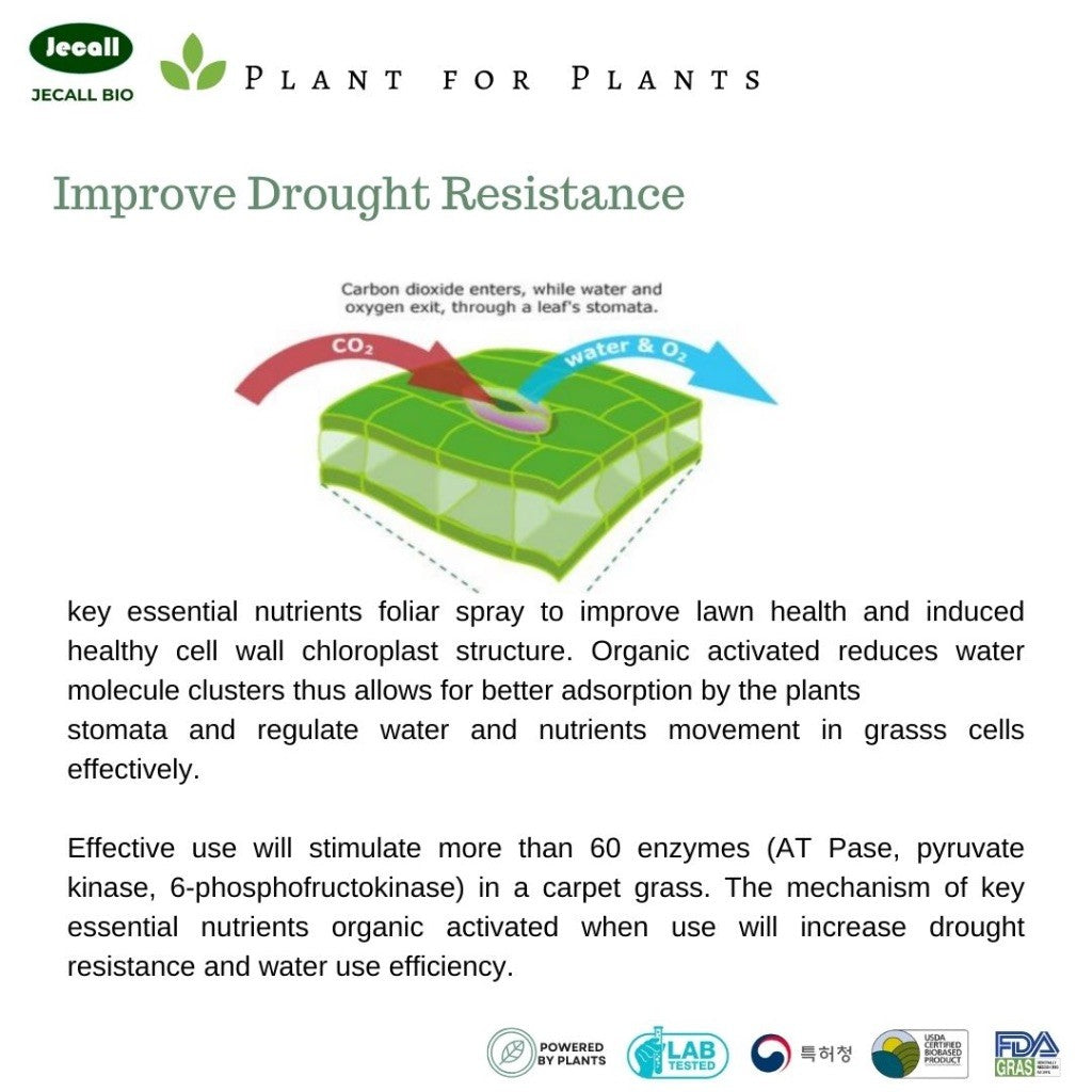 Jecall-Bio Lawn Plus 250ml – Baja Foliar Organik untuk Rumput, Carpet Grass Fertilizer, Baja Subur Rumput