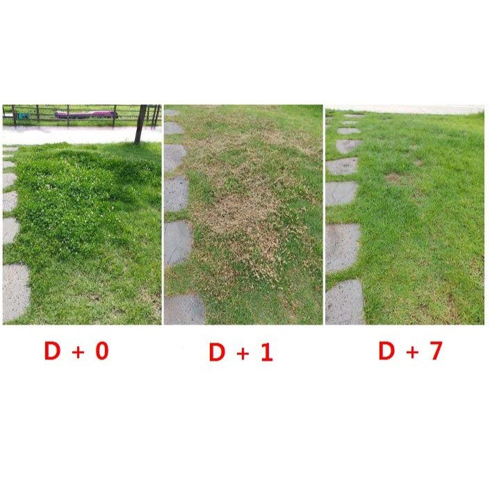 Jecall-Bio Pullcops 4L – Racun Rumpai Tidak Toksik, Weed Killer for Lawn, Carpet & Bermuda Grass Remover