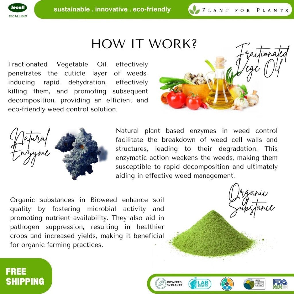 Jecall-Bio Bioweed 4L – Spray Racun Rumput/Rumpai Semula Jadi, Natural Organic Weed Killer