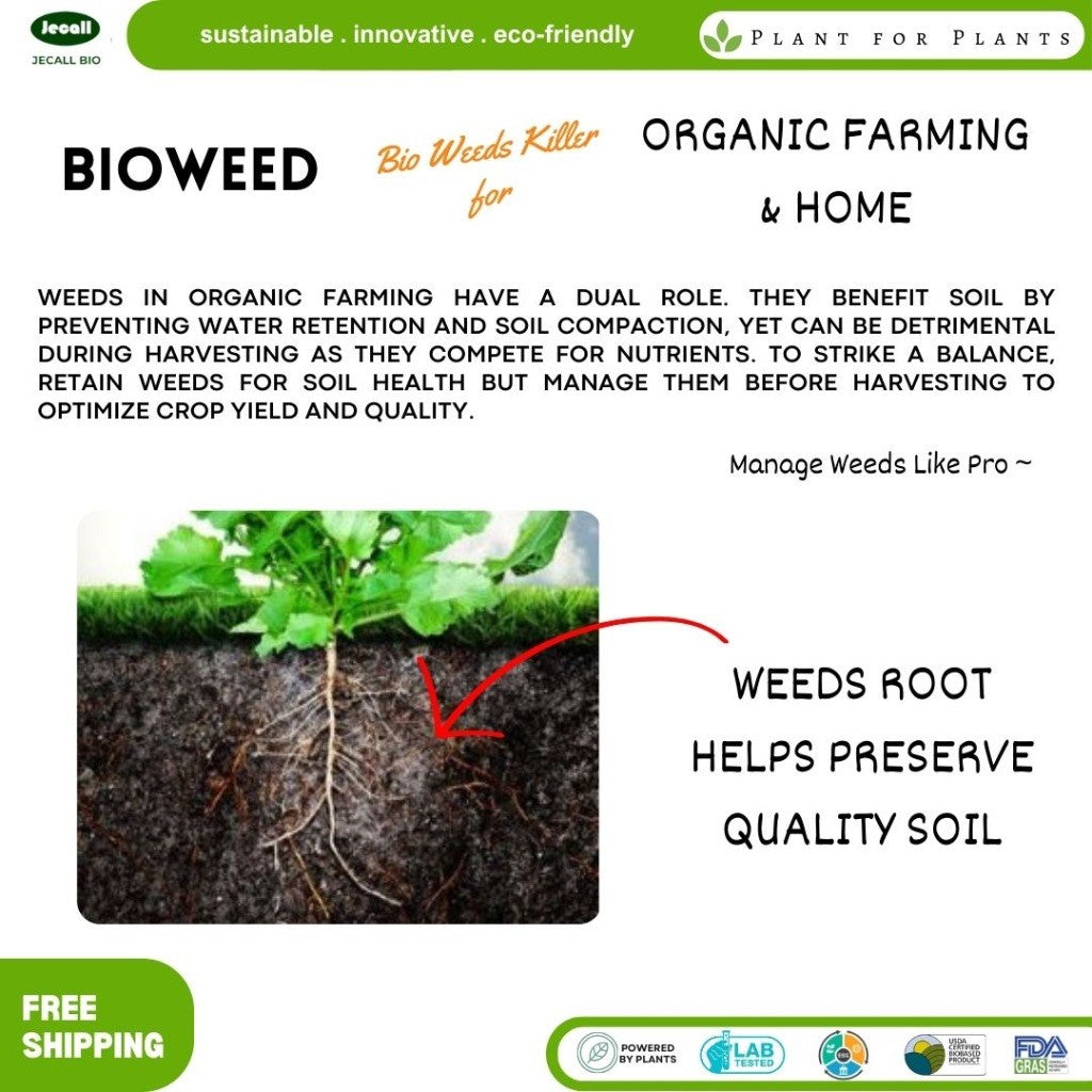 Jecall-Bio Bioweed 4L – Spray Racun Rumput/Rumpai Semula Jadi, Natural Organic Weed Killer