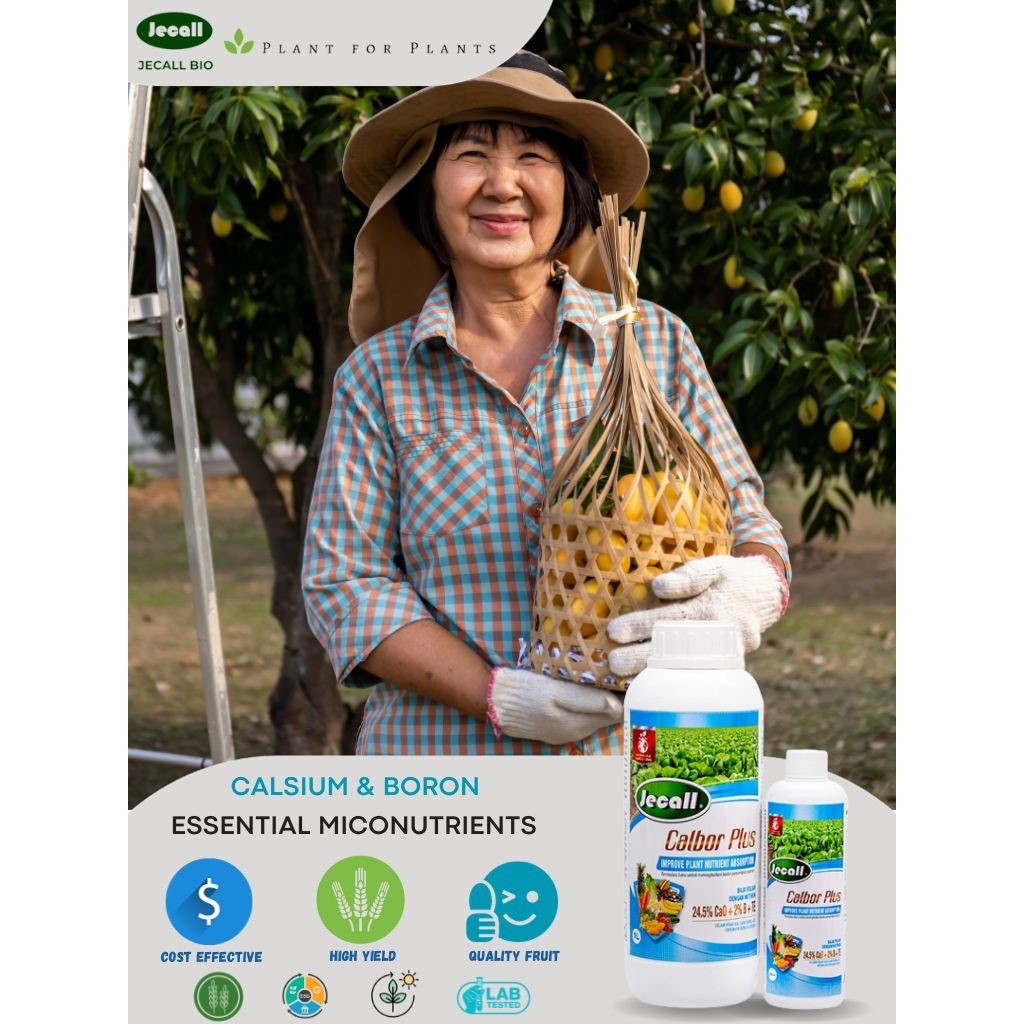 Jecall-Bio Calbor Plus 1L – Baja Foliar Kalsium & Boron, Untuk Daun, Bunga, Buah & Sayur, Foliar Fertilizer