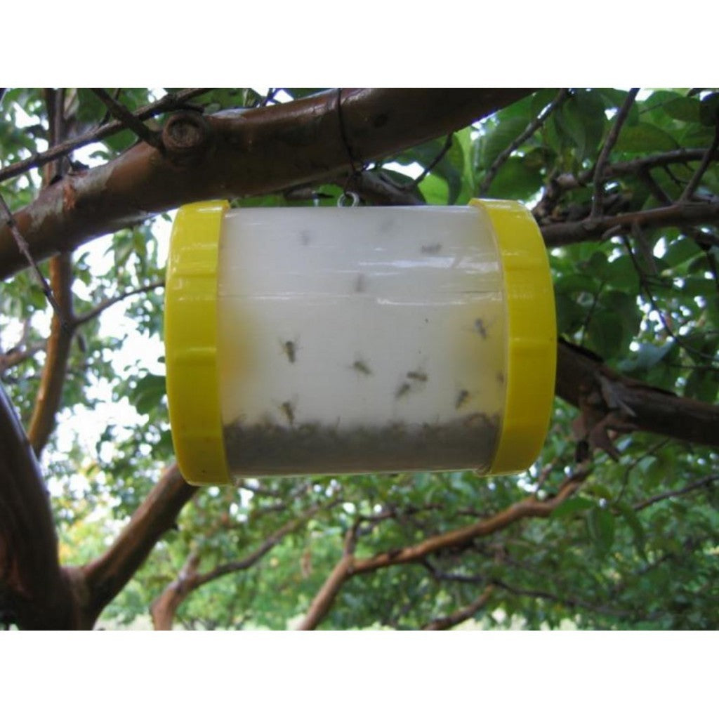 Superlure Fruit Fly Lure 30ml – Methyl Eugenol 95%, Perangkap Lalat Buah Pekat, Kualiti Import Eropah