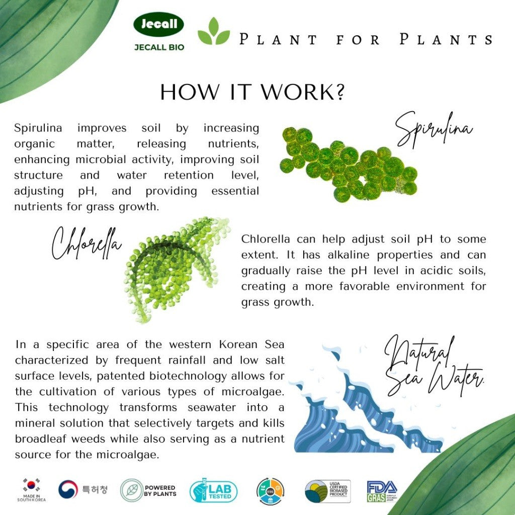 Jecall-Bio Pullcops (1L) – Pembunuh Rumpai Mesra Alam, Non-Toxic, Selektif, Lawn & Carpet Grass Weed Killer