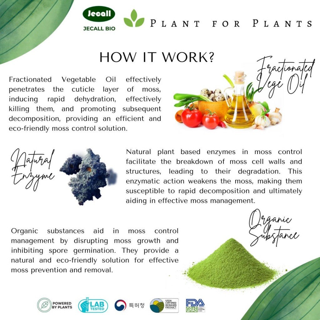 Jecall-Bio Biomoss Spray 1L – Racun Lumut Semula Jadi, Algae Remover, Untuk Lantai & Dinding, Spray Lumut
