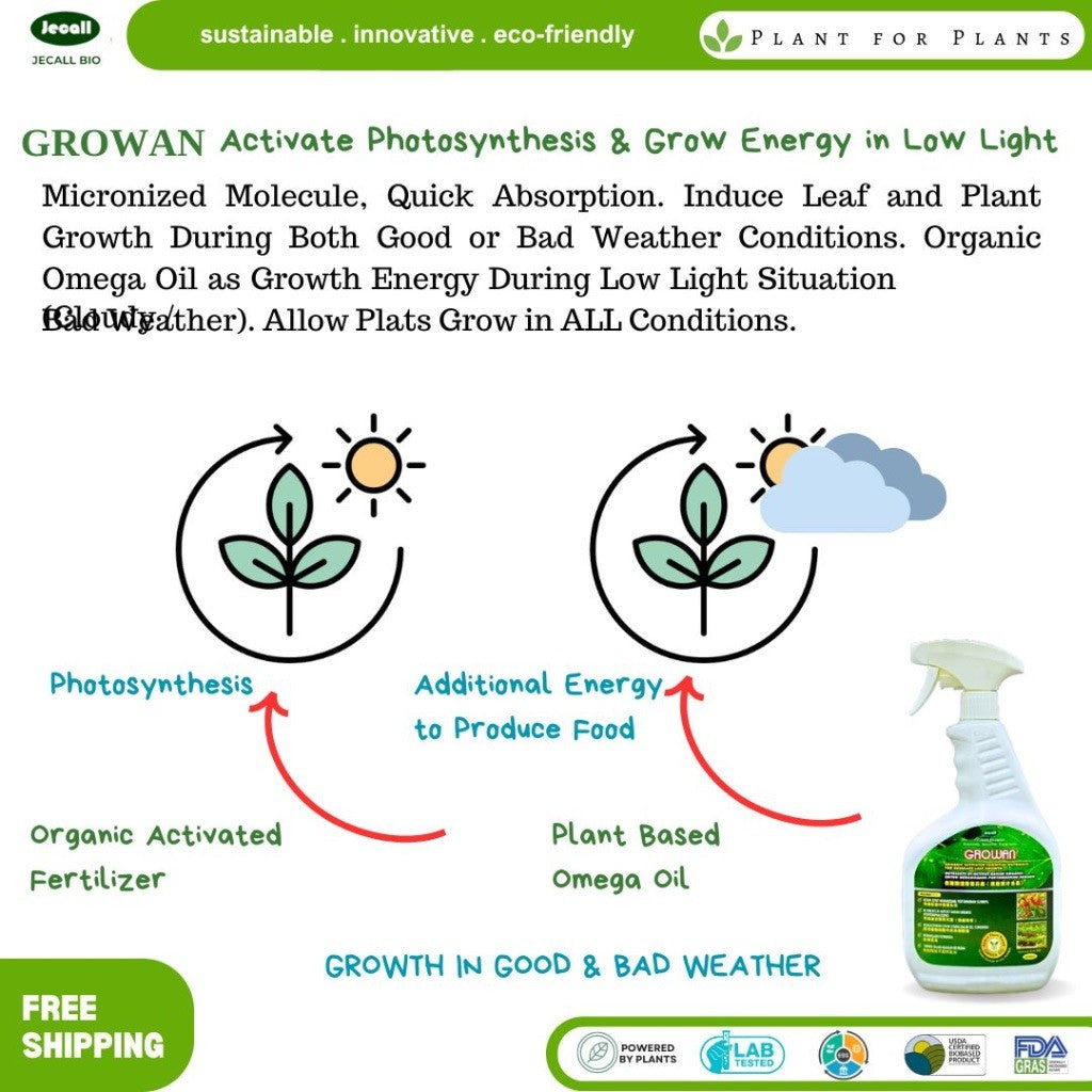 Jecall-Bio Growan 1L – Baja Organik Penggalak Tumbuhan, Boost Photosynthesis, Grow in Cloudy Weather
