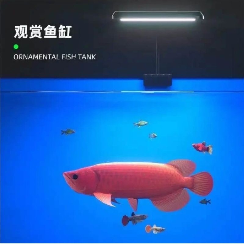 GEBO Aquarium Clip Lamp – 8W / 13W LED Light for Fish Tanks (Easy Clip-On Design)