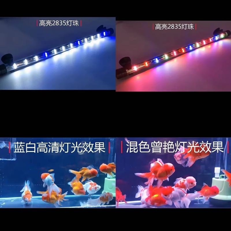 QuanLong T4 Aquarium LED Light 200B – 3W 28.5cm (Multi-Colour / Red & White / Blue & White)