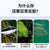 AQUAGRACE 35W Double Tube UVC Light – Waterproof UV Sterilizer for Aquarium, Pond & Landscape