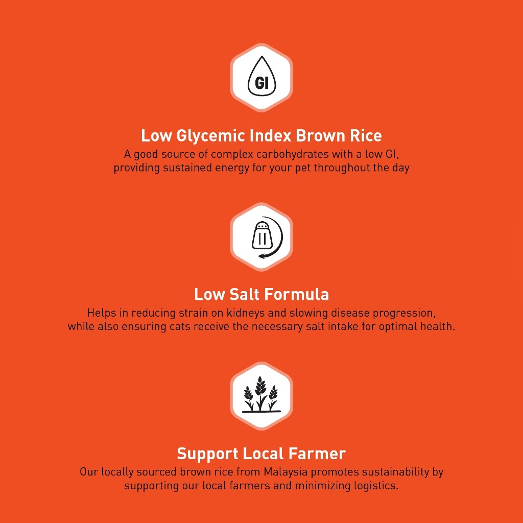 ProDiet Brown Rice Dry Cat Food - (1.2kg x 1unit) [EXP NOV 26]
