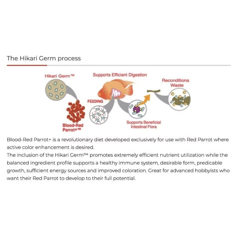 Hikari Blood Red Parrot+ 600g | Premium Fish Food | Makanan Ikan