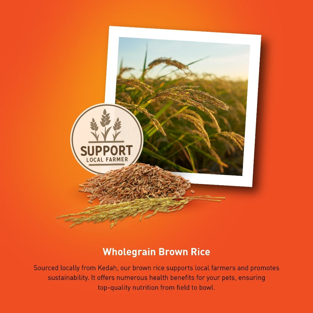 ProDiet Brown Rice Dry Cat Food - (1.2kg x 1unit) [EXP NOV 26]