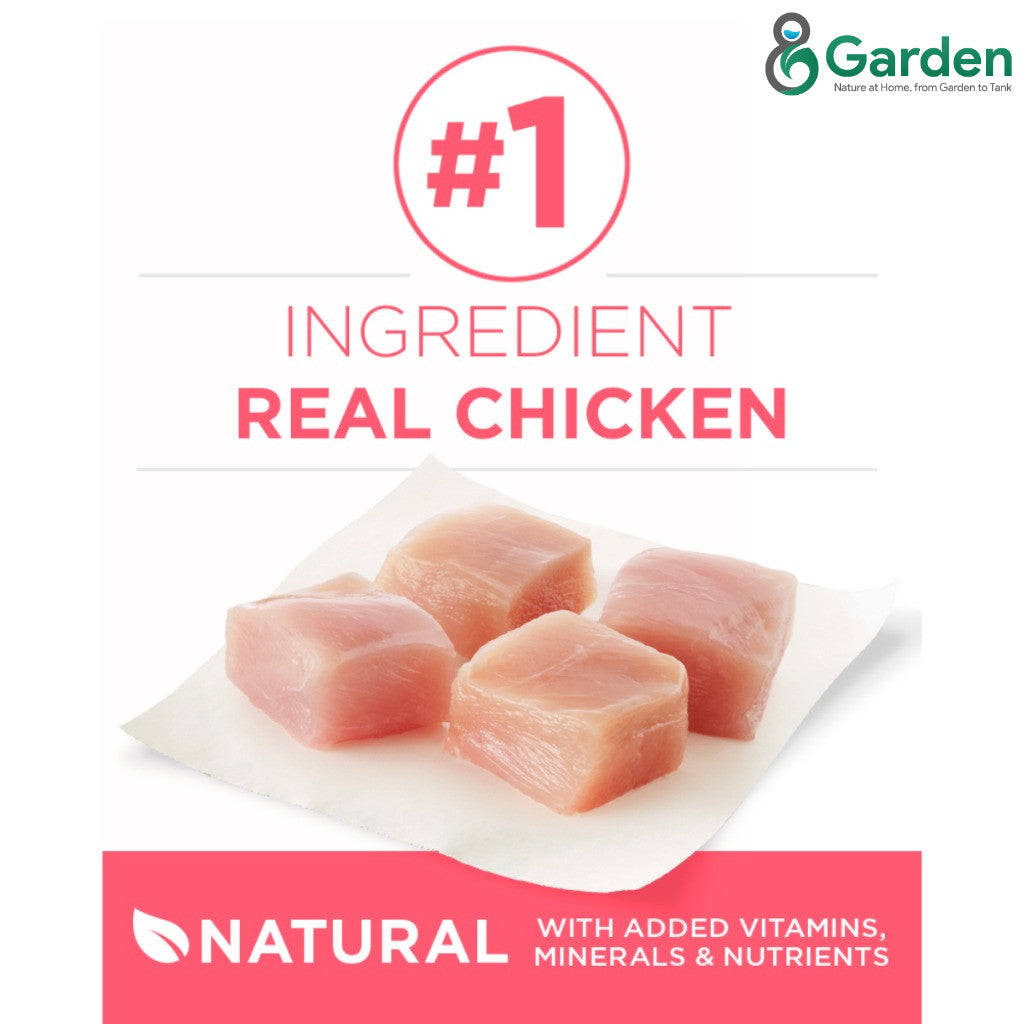 Purina One Cat Dry Food 380g Premium Adult Kitten Indoor Urinary Care Makanan Kering Kucing 猫粮干粮