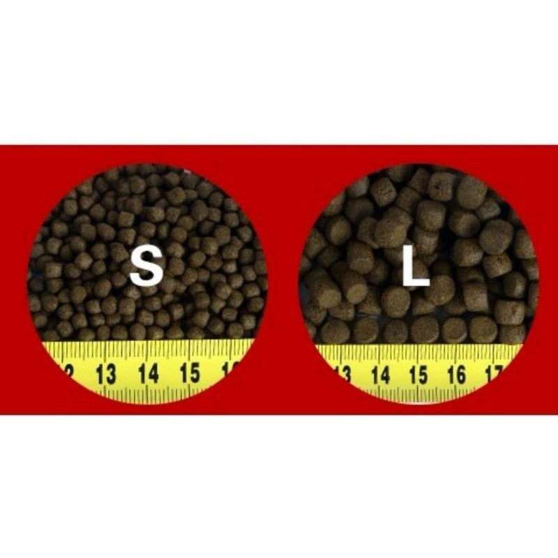 Aqua Master Koi Fish Food 1KG Small – Growth | Color Enhancer | Wheat Germ | Staple