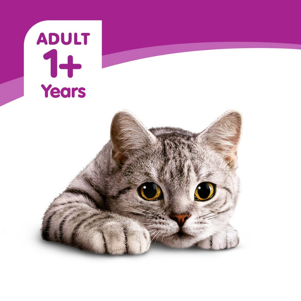 WHISKAS Makanan Kucing Basah Dalam Pek 80G