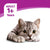 WHISKAS Makanan Kucing Basah Dalam Pek 80G